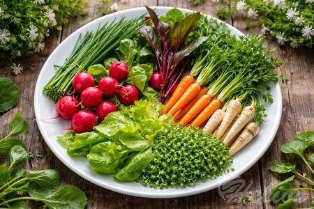 Wiosna na talerzu. Nowalijki