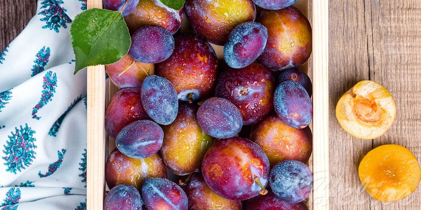 Śliwka. Królowa jesiennych potraw