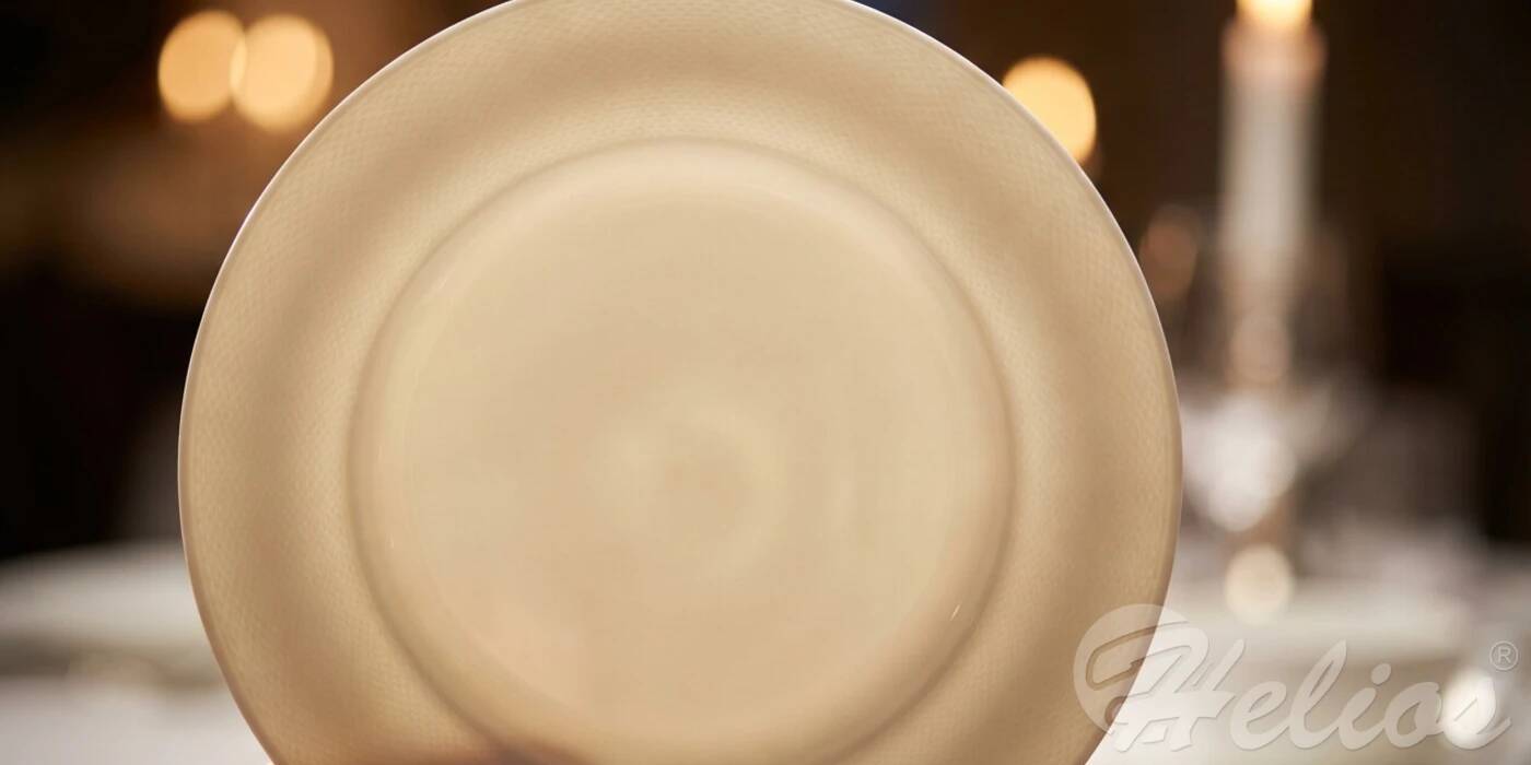 Biały talerz z porcelany premium trzymany pod światło, ukazujący charakterystyczną przeświecalność świadczącą o pełnej witryfikacji i niskiej nasiąkliwości materiału.