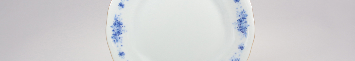 Talerz G540 ALASKA