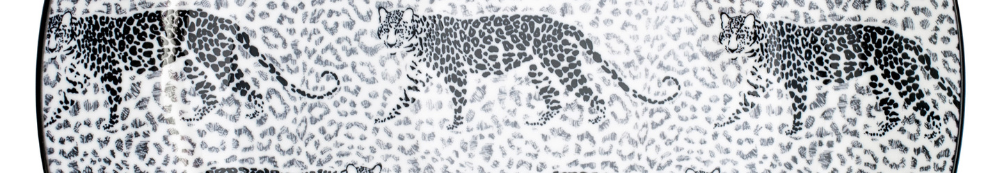 Talerz płaski, Wild