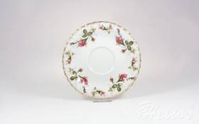 Chodzież Spodek 17 cm / do filiżanki 0,4 l - B013 IWONA