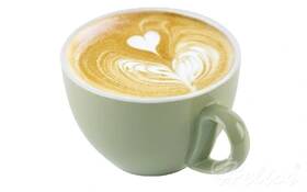 APS Bufet-Gurmet Filiżanka ze spodkiem SNUG 280 ml CAPPUCINO ZIELONA
