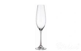 Bohemia Kieliszki do szampana 260 ml - Columba (022356)