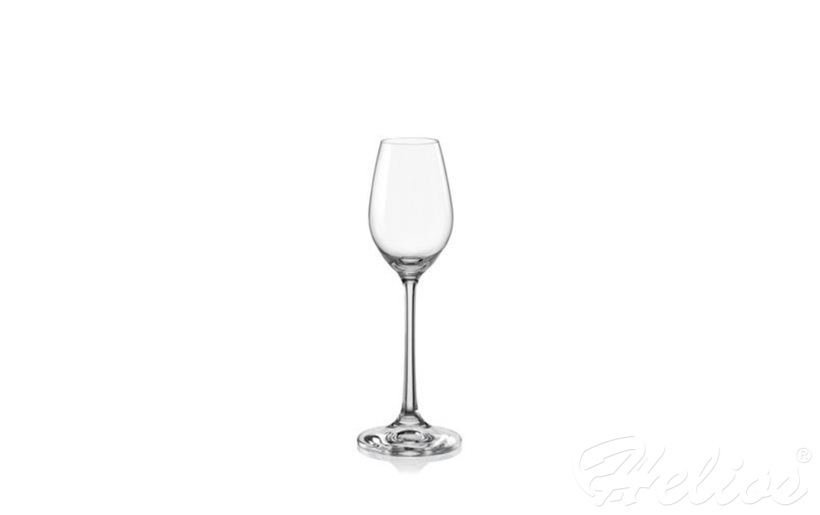 Kieliszki do likieru 60 ml - Viola (018430)