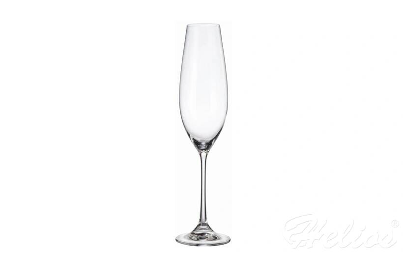 Kieliszki do szampana 260 ml - Columba (022356)