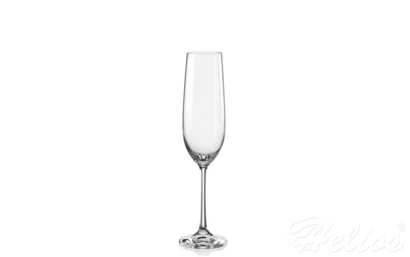 Kieliszki do szampana 190 ml - Viola (018447)