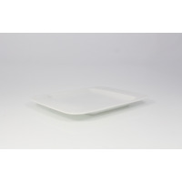 Talerz płytki 25 cm - LIKE (LU0652)