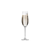  Kieliszki do szampana 200 ml / 6 szt.- Harmony (9270)