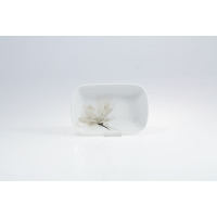 Rawierka 17,9/12 cm - 6474 Magnolia (Madryt)