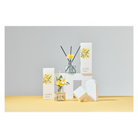 Dyfuzor zapachowy DAFFODIL 200 ml - DEEP MUSK (98099266717)