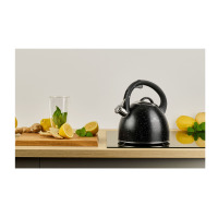 Czajnik 2,8 l - NATUR (320)