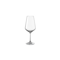 Kieliszek do wody Sandra marki Bohemia o pojemności 550 ml. Przezroczyste szkło o smukłym, nowoczesnym kształcie na wysokiej, delikatnej nóżce, widok na wprost.