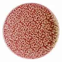 Talerz płytki 20 cm - Amour (V-55001-6)