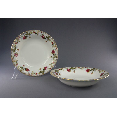 Dwa talerze głębokie 22 cm z serii Iwona marki Chodzież. Biała porcelana z klasycznym motywem róż i złoconym, falistym brzegiem. Jeden talerz stoi pionowo