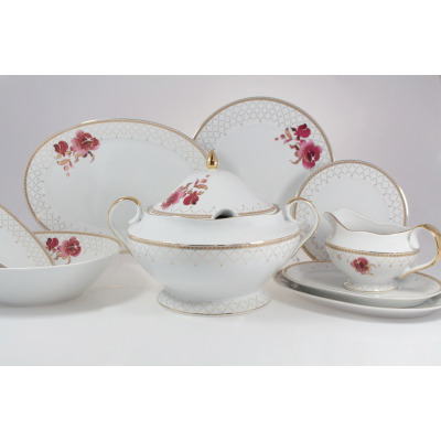Serwis obiadowy Ćmielów G529 ASTRA Akwarela dla 6 osób. Biała porcelana z delikatnym złotym wzorem siatki i motywem różowych kwiatów, obejmująca wazę, talerze